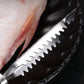 🔥 Купи 1 и вземи 1 безплатно 🐟 Отстранител на рибни люспи от неръждаема стомана ✨